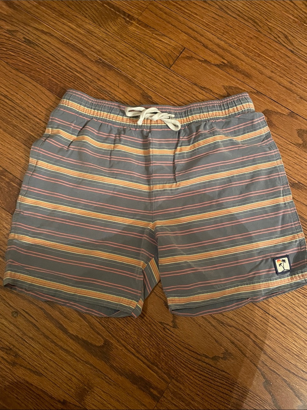 Marine Layer Striped Swim Trunks